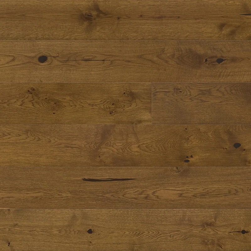 Stejar Garda Medio photo2